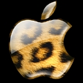 Apple Jaguar.